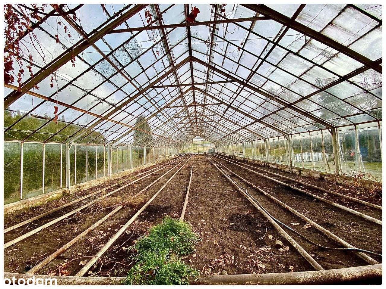 Dwurodzinny dom z dużą działką 2149 m2 + szklarnia-8