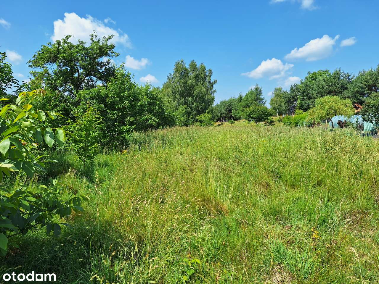1225-SB ** Duża działka budowlana Żory-Rój **-0