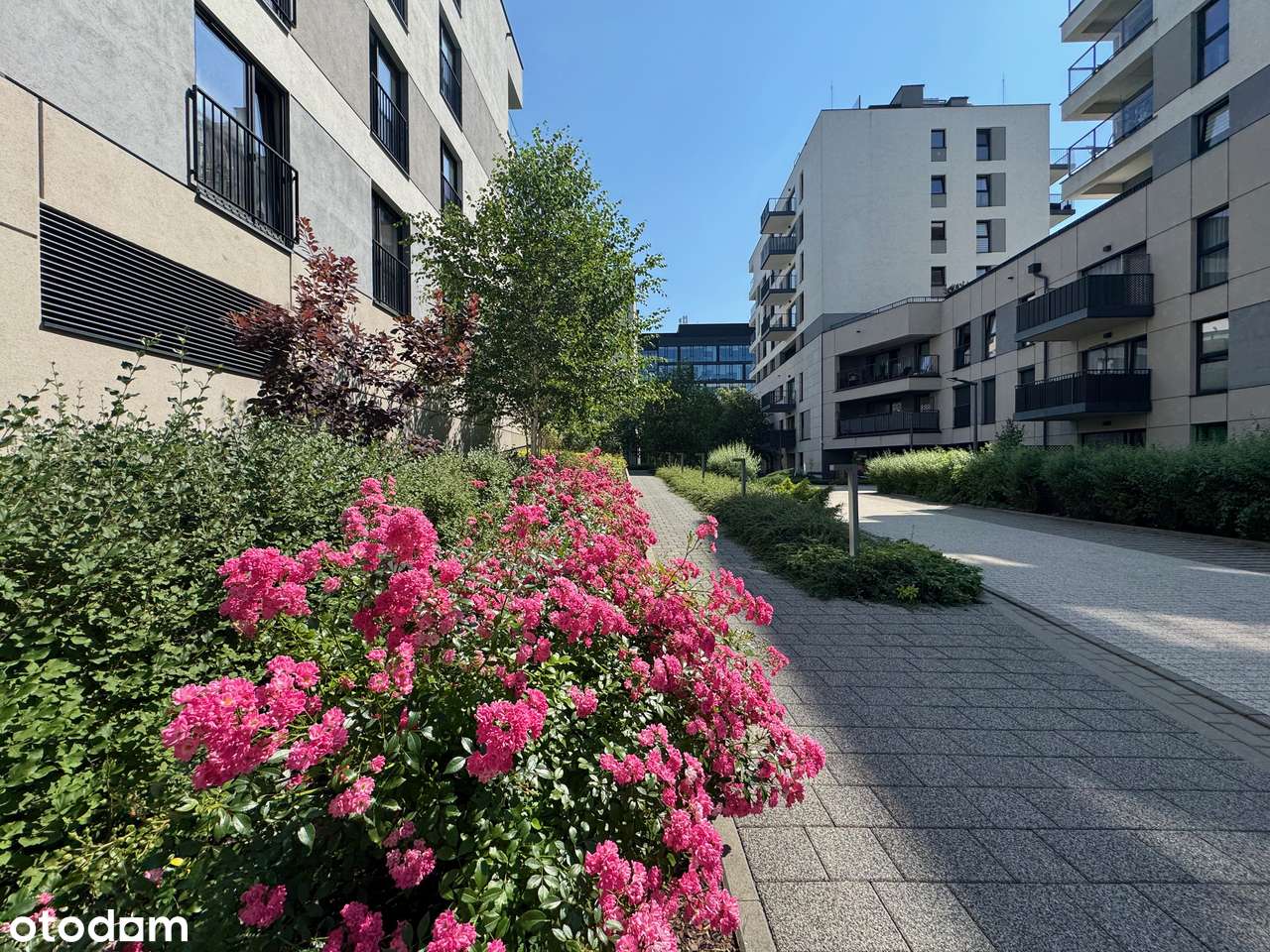 Komfortowe mieszkanie 55 m² – ul. Gandalfa