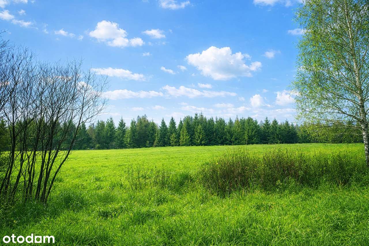 Drewniany dom w Sopotni Wielkiej – cisza, natura i górski klimat-4