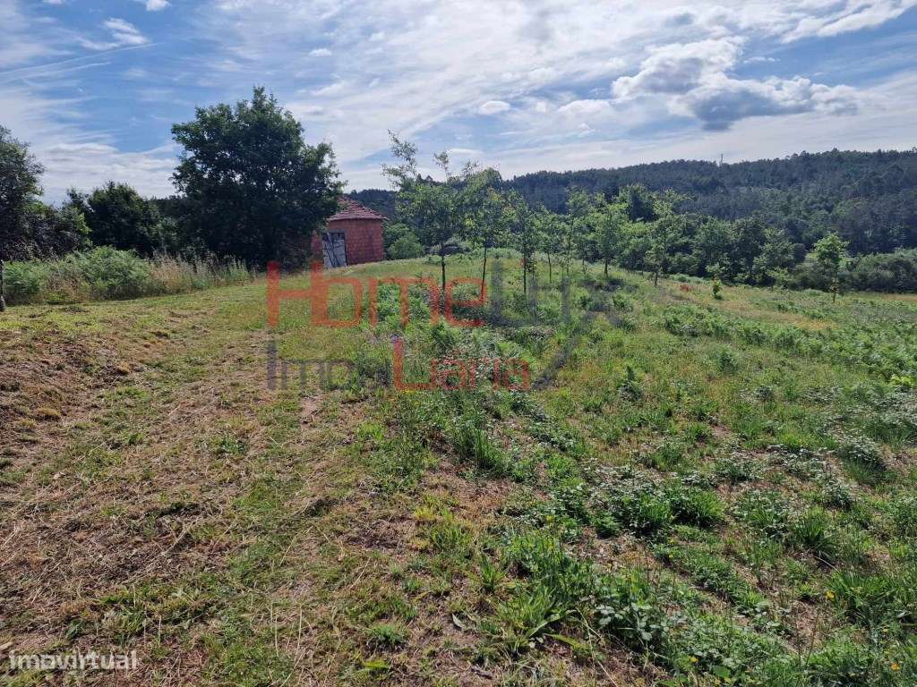 Excelente terreno para construção, com 1.400 m2, em Pindelo dos Mil... - Grande imagem: 5/9