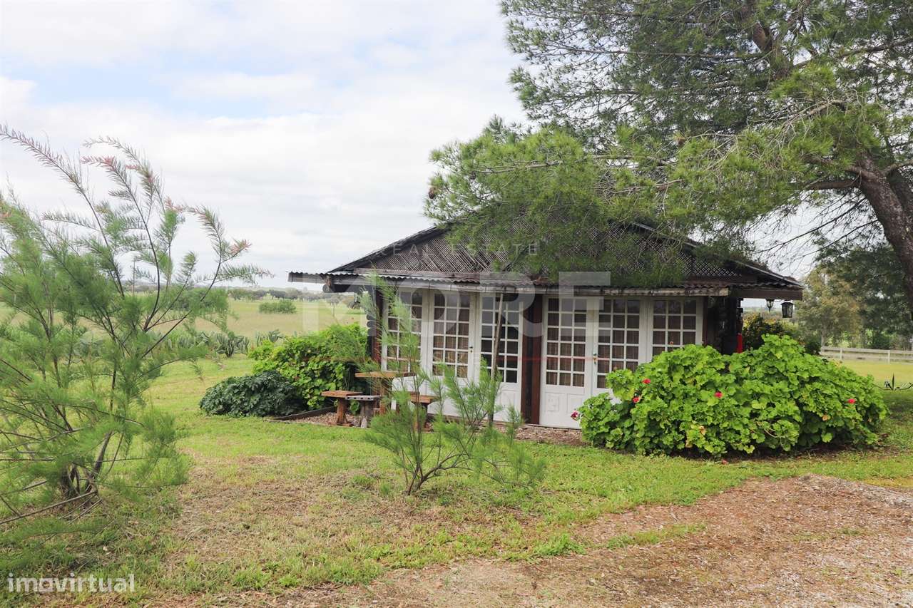Monte alentejano - Alcáçovas - Grande imagem: 4/15