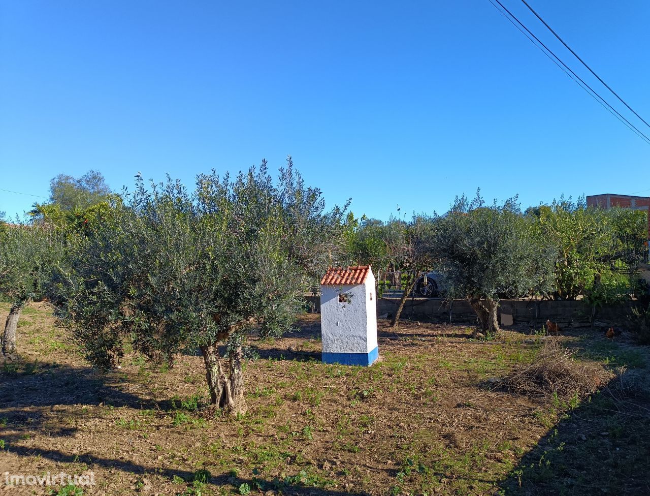 Redondo Quintinha com Habitacao