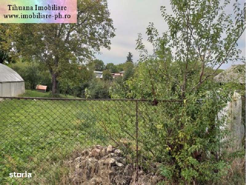 Teren de vanzare - Baicoi(Central) (intre case,gaze,curent,canalizare) - Imagine principală: 3/6