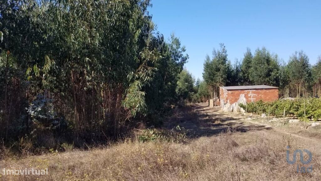 Terreno Agrícola em São Bartolomeu dos Galegos e Moledo de 6200,00 m2 - Grande imagem: 1/6