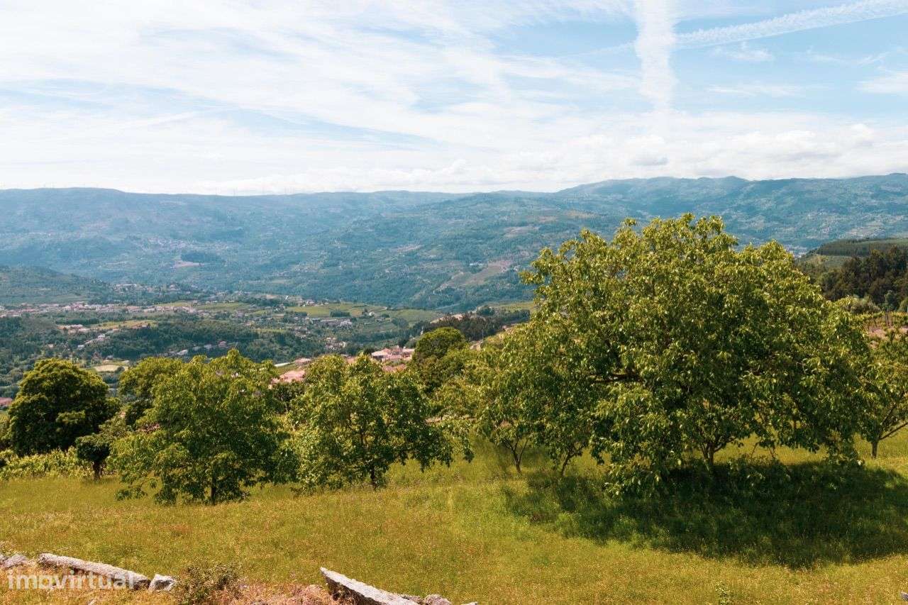 Quintinha com Casa Senhorial em Baião-20