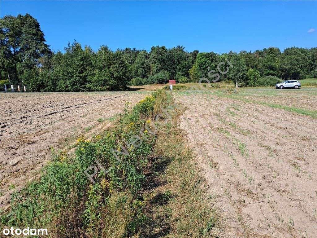 Działki 20 minut od Warszawy! Wodociąg w działce! - Pełny obrazek: 4/8