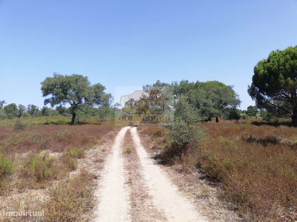 Terreno perto de Grândola e a 20 minutos da praia - Grande imagem: 4/9