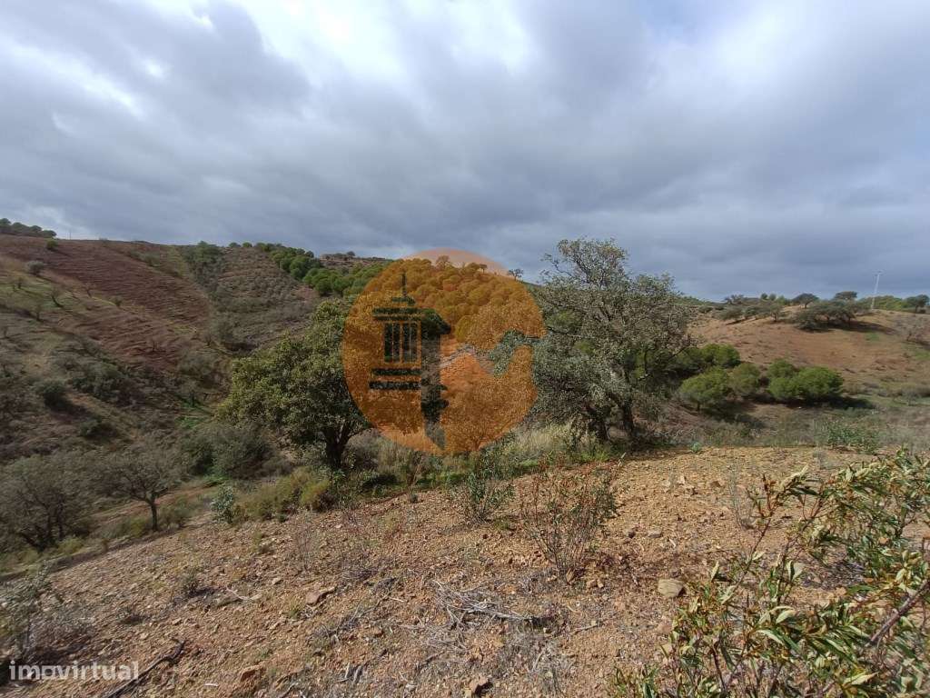 TERRENO RÚSTICO COM 10.320 M2 - VISTA LAGO - ALCARIAS GRANDES - CAS... - Grande imagem: 4/45