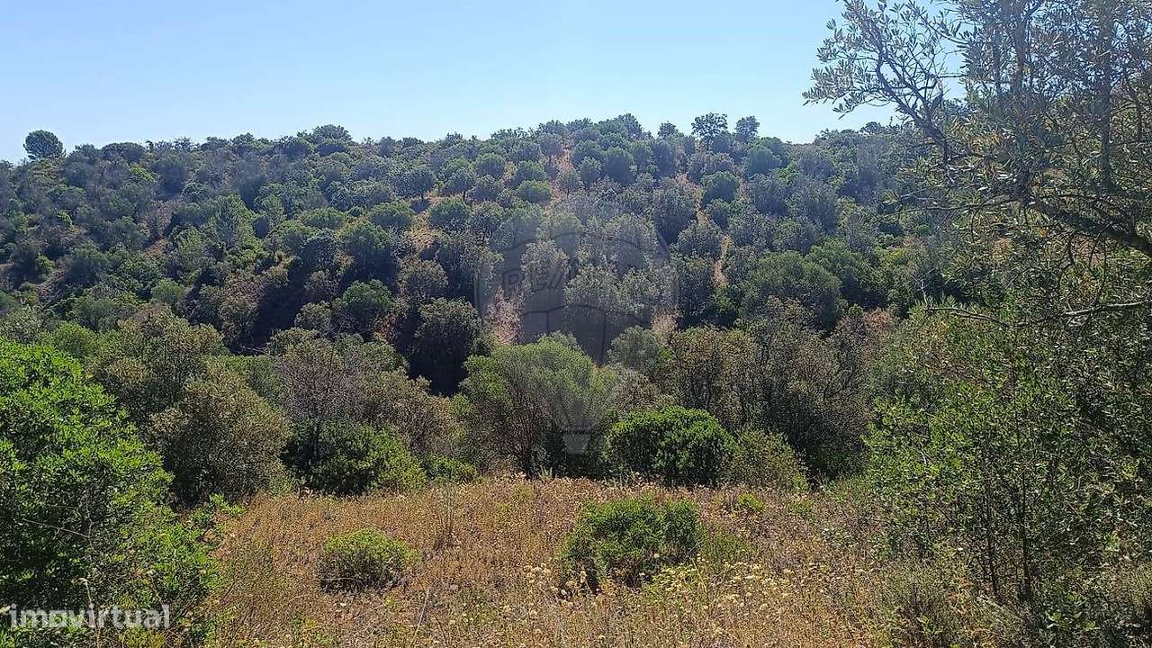 Terreno  para venda - Grande imagem: 5/7