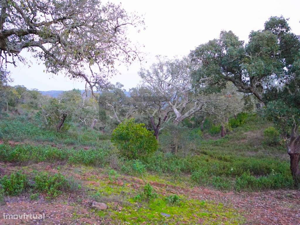Terreno para Venda com 34 Hectares com Ruina na Serra de Grândola /...-20