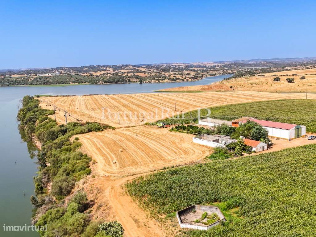 Herdade de regadio com 30 hectares em Évora - Grande imagem: 3/45