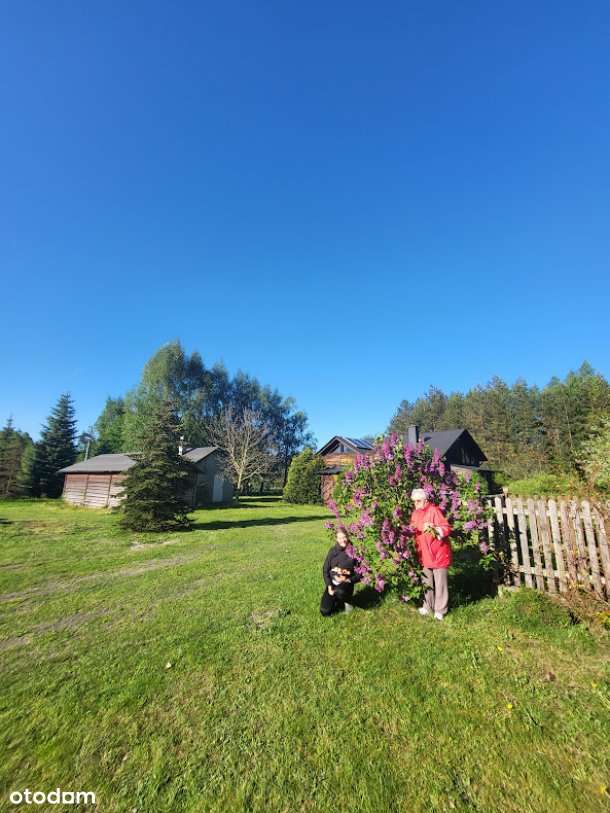 Siedlisko:Dom, 2 domki let, garaże, zabudowania i las-działka 1,547 ha - Pełny obrazek: 5/20