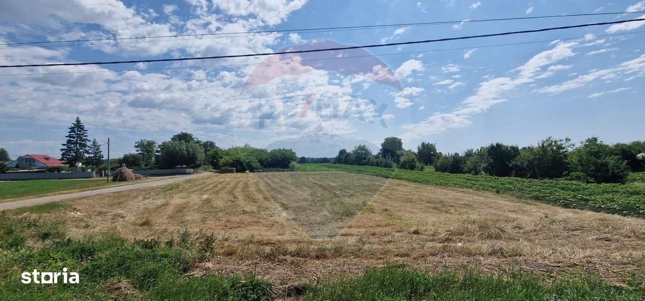 Teren de vanzare 28,662mp Oniscani / DN DN85 - Imagine principală: 5/5