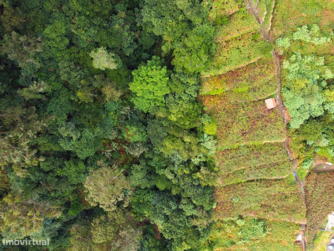 Terreno de Investimento com Vinha em São Vicente — Miradouro do LOURAL - Grande imagem: 5/14