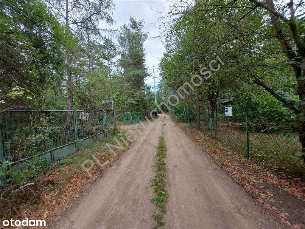 Cisza, Zieleń, Rzeka I Ona - Działka W Łosiu. - Pełny obrazek: 4/20