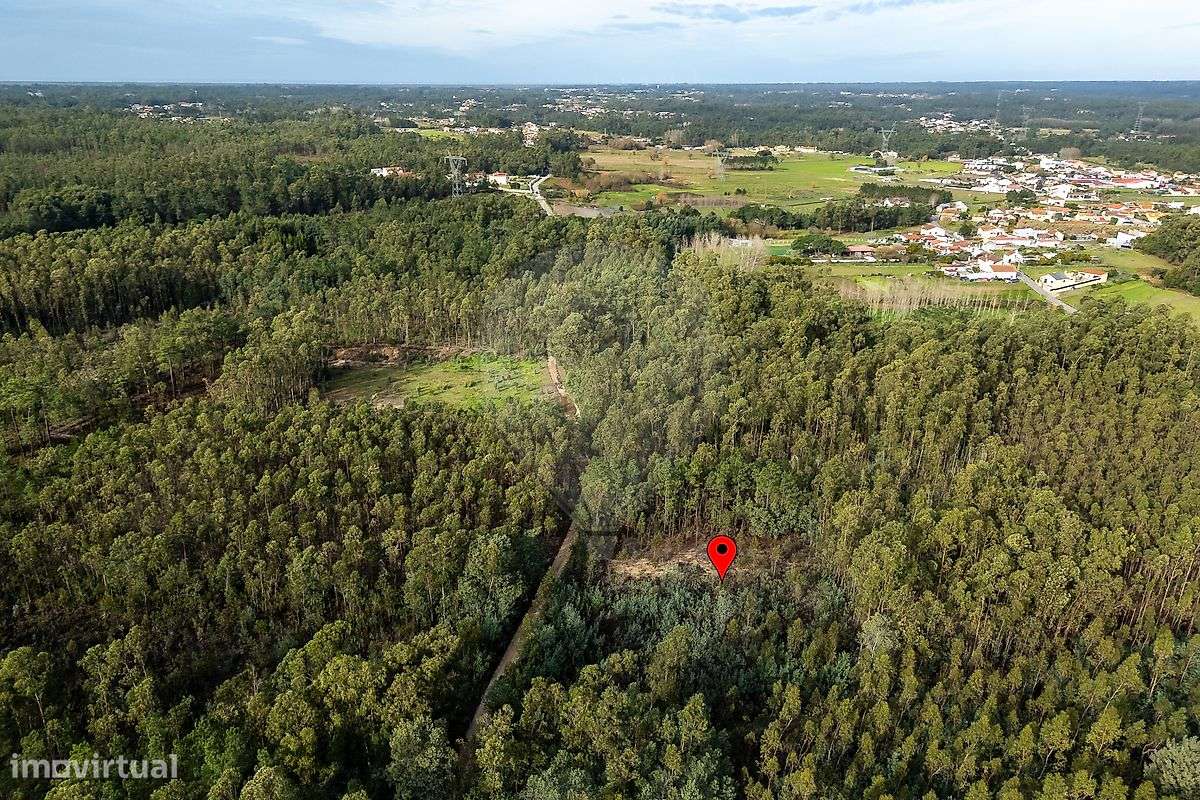 Terreno  para venda - Grande imagem: 5/12