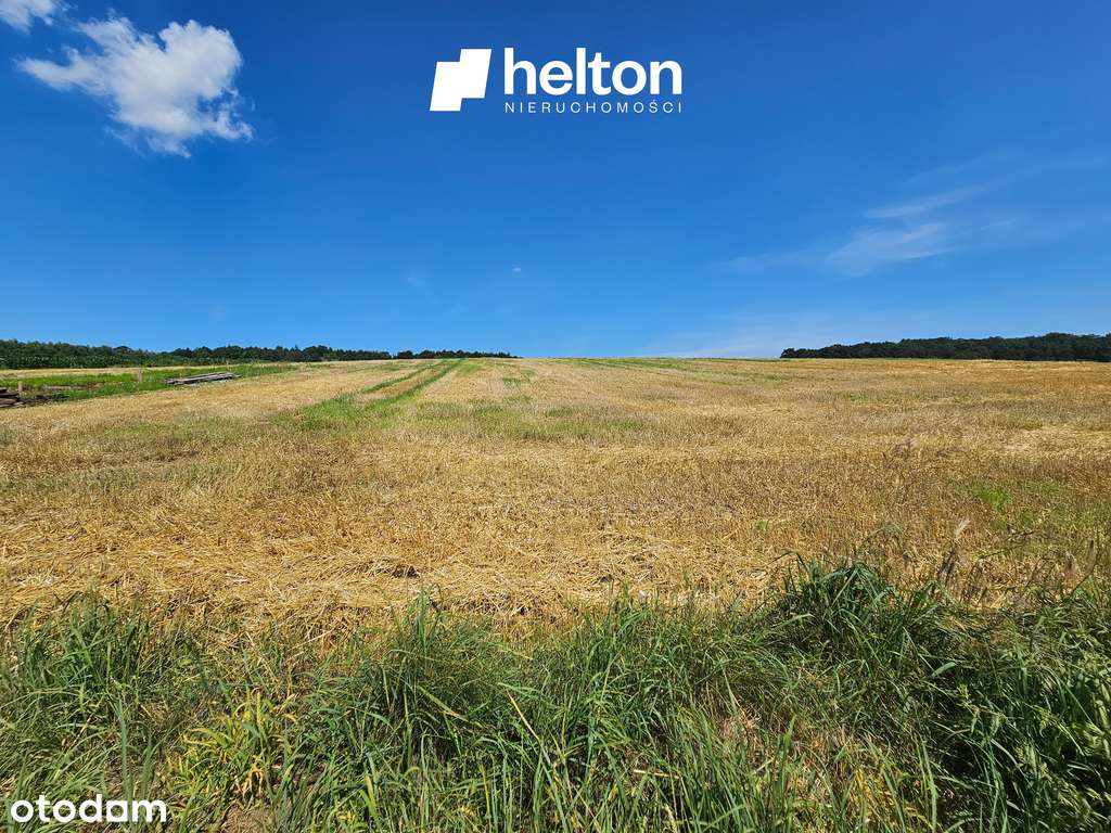 Widokowa działka || Masłomiąca ||-2