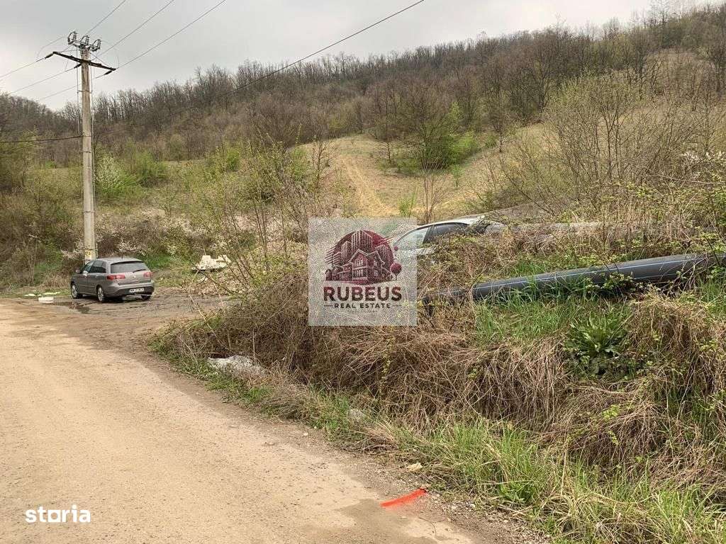 Teren intravilan 2.580 mp Eșelnița, acces DN57, ideal turism, locuinte-18