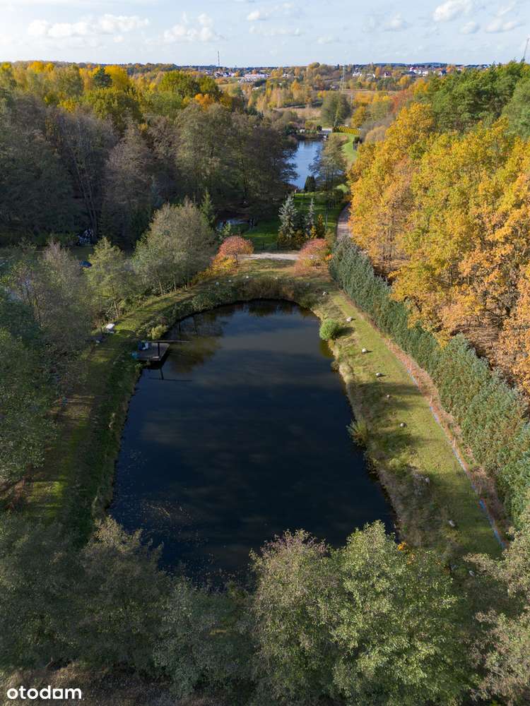 Urokliwe łowisko wędkarskie z domkiem!-3
