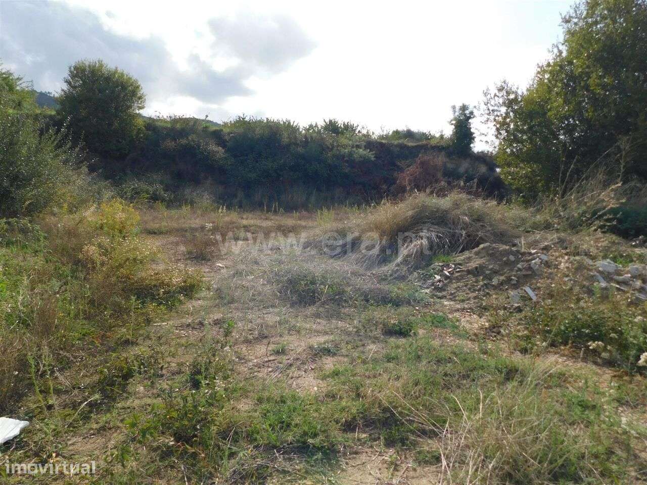 Lote / Fundão, Aldeia de Joanes - Grande imagem: 5/5