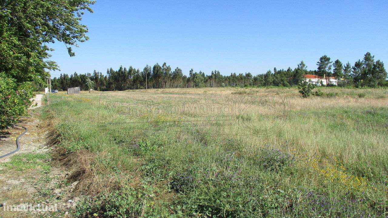 Terreno no Granho  (G033) - Grande imagem: 5/5