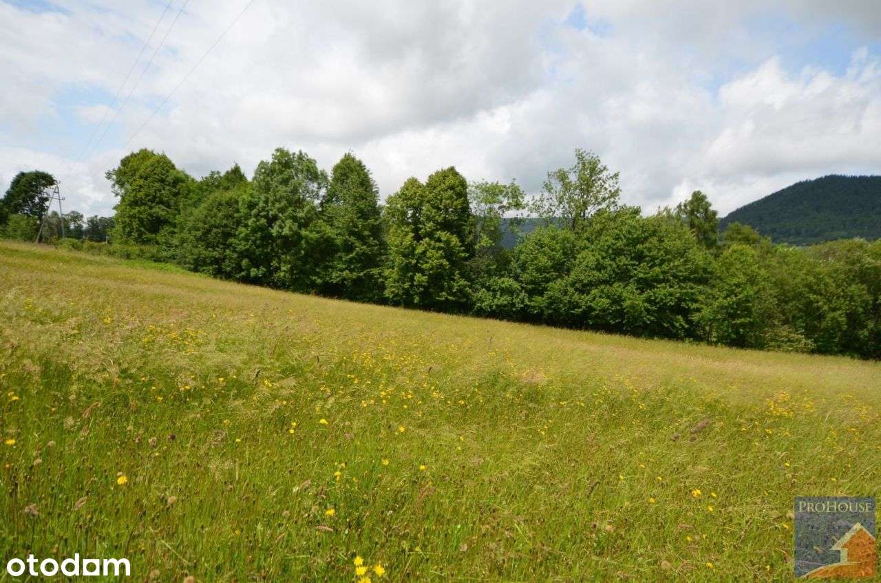 Działka, 1 504 m², Pisarzowa - Pełny obrazek: 5/13