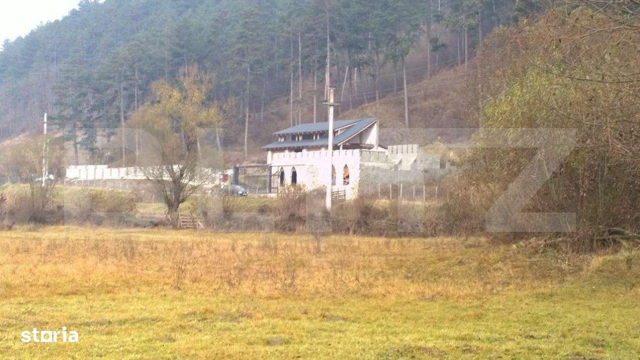 Casa individuala la rosu, 247 mp, teren 5000 mp in Surduc - Imagine principală: 2/4