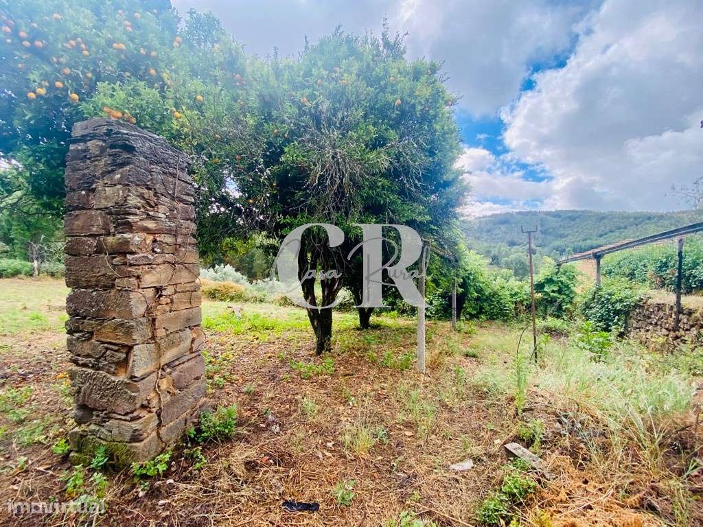 Casa em pedra para reabilitar - Grande imagem: 4/56