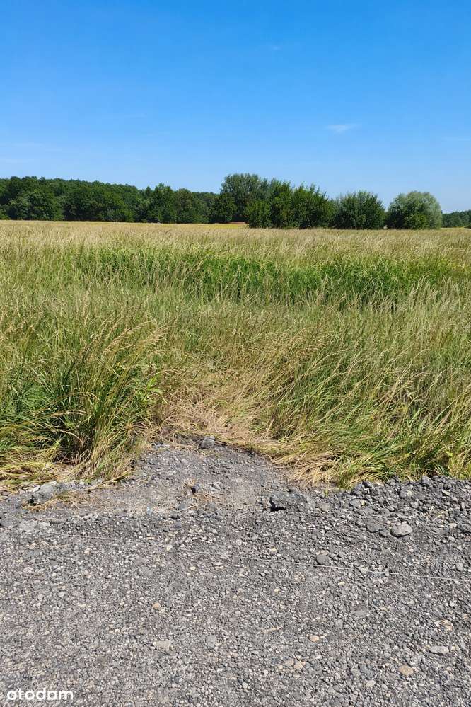 Na sprzedaż atrakcyjna działka budowlana – Mikołów (Paniowy) - Pełny obrazek: 2/2