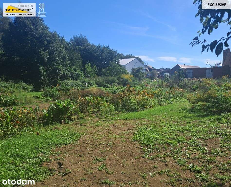 Parlino- Działka pod zabudowę - Pełny obrazek: 5/9