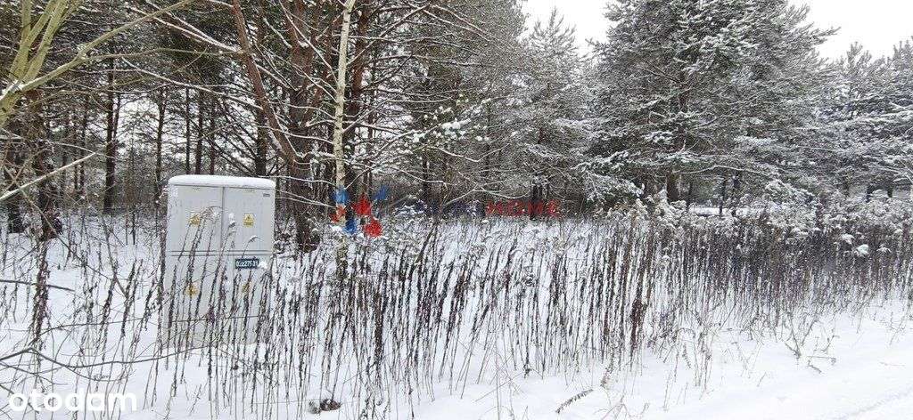 Łoś działka 1118 m2 budowlana, media, las-5