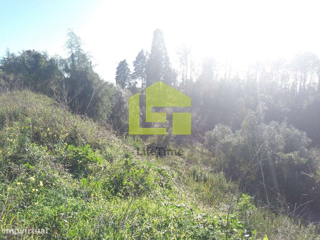 Terreno - Grande imagem: 3/5