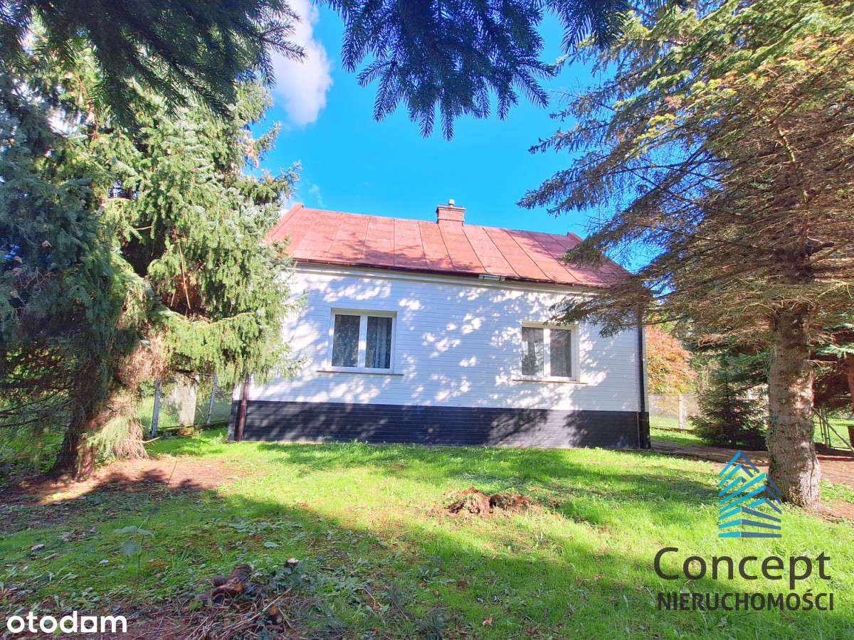 Brzesko, dom i 36 arów działek w centrum!-13