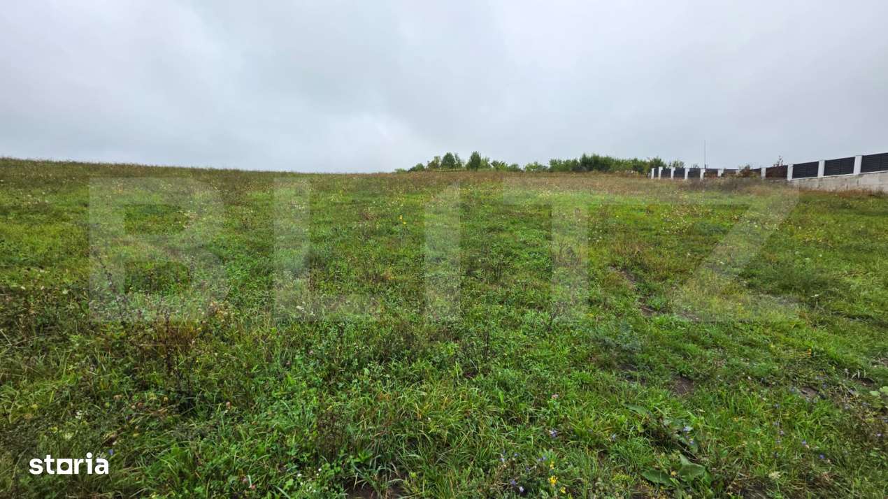 Teren Sigmir, parcelat, toate utilitatile, 880 mp - Imagine principală: 4/9