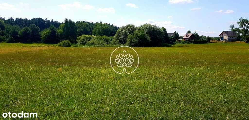 Błądzim. 400 m od brzegu jeziora. - Pełny obrazek: 3/5