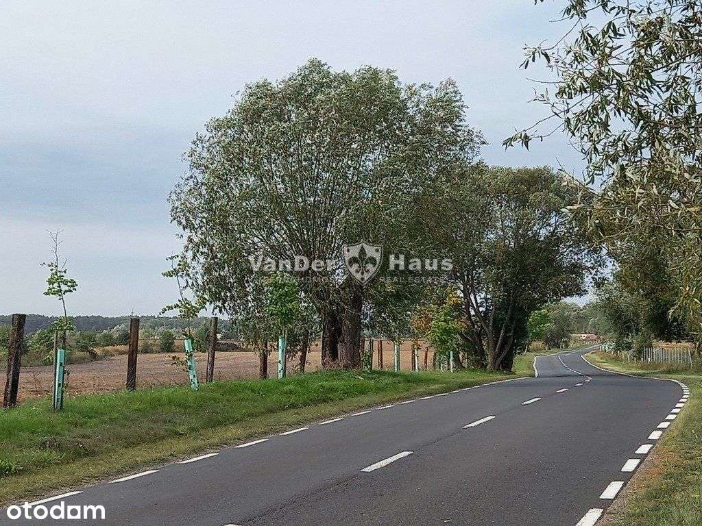 Gołuń - atrakcyjne działki na sprzedaż-8