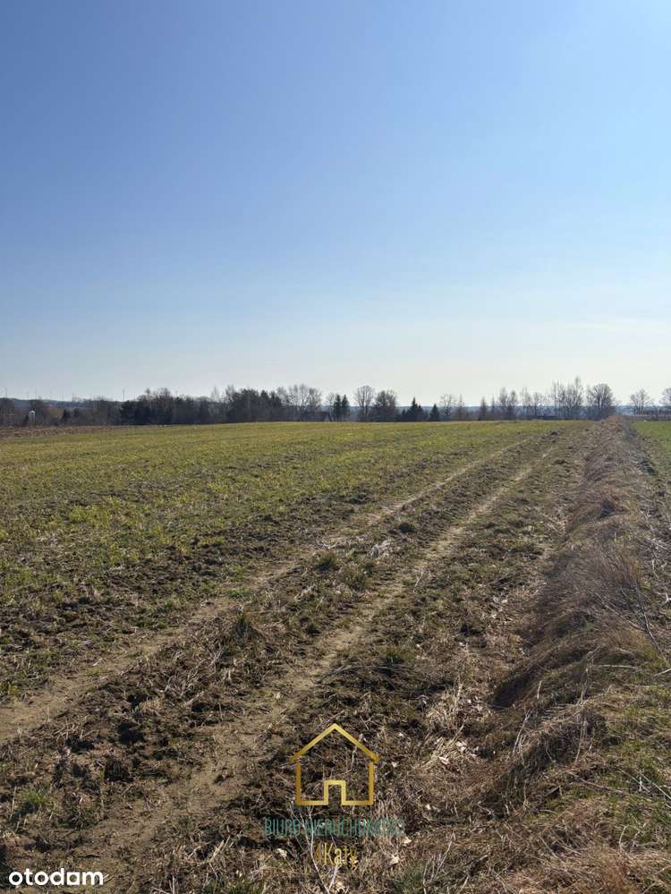 Promocja!!  Działki rolne z Mpzp 3121 m2 Perlino - Pełny obrazek: 5/15