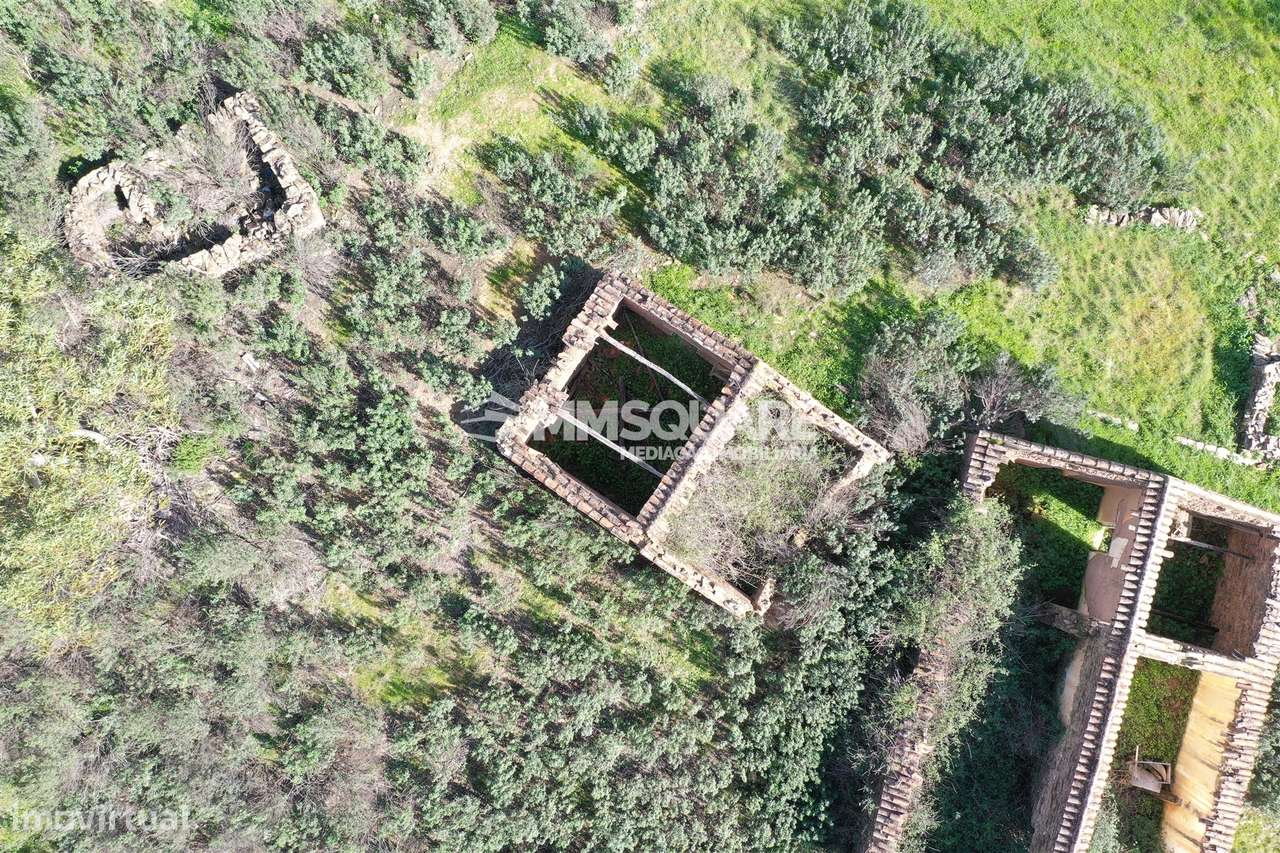 Herdade T2 Venda em Santana da Serra,Ourique - Grande imagem: 5/13