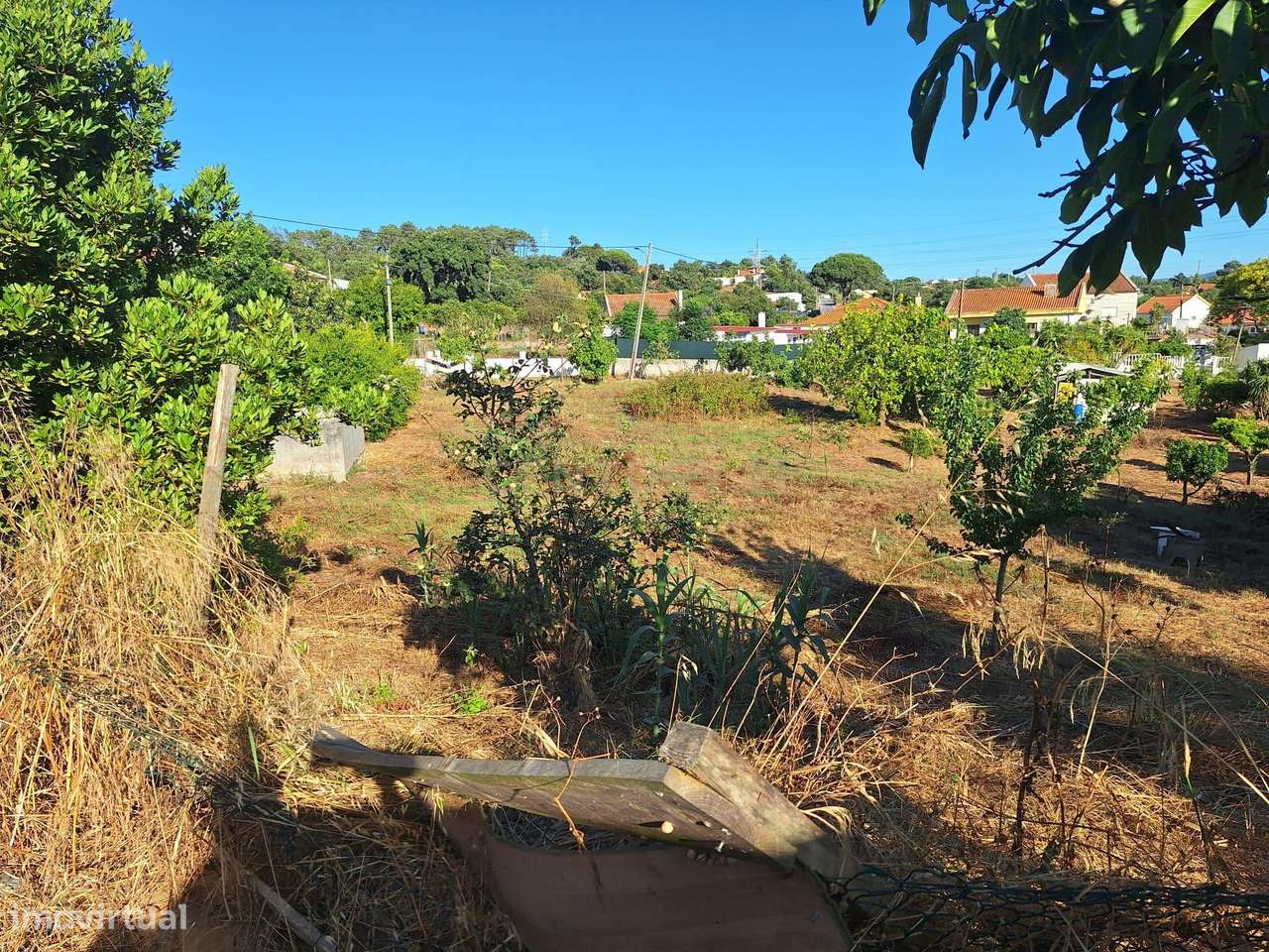Moradia T3 com 99 m² e terreno de 4.179 m² em Covas de Coina-23