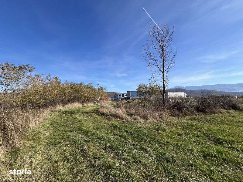 Teren intravilat 28000mp de vanzare in Talmaciu - Imagine principală: 4/4