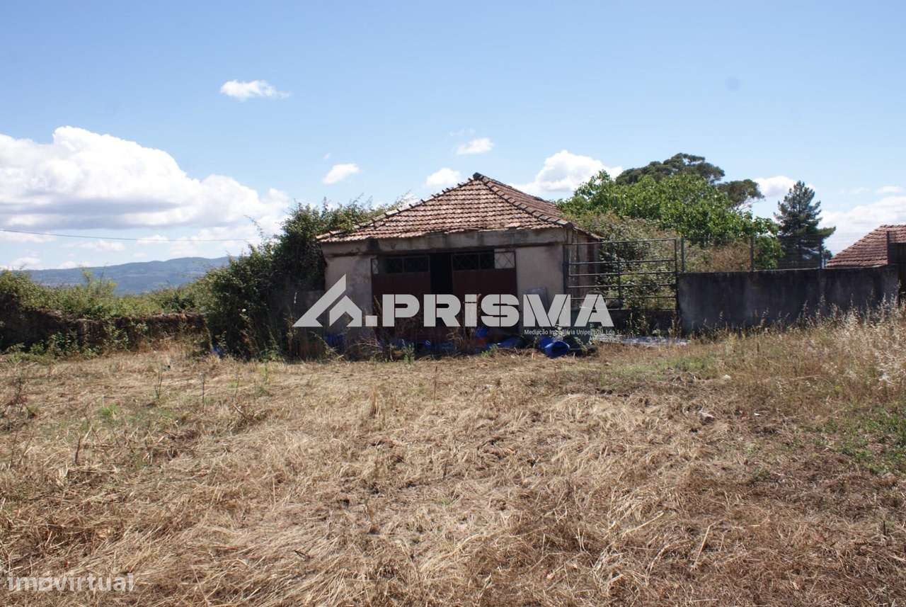 Terreno rústico para venda em Pêro Viseu - Grande imagem: 5/30