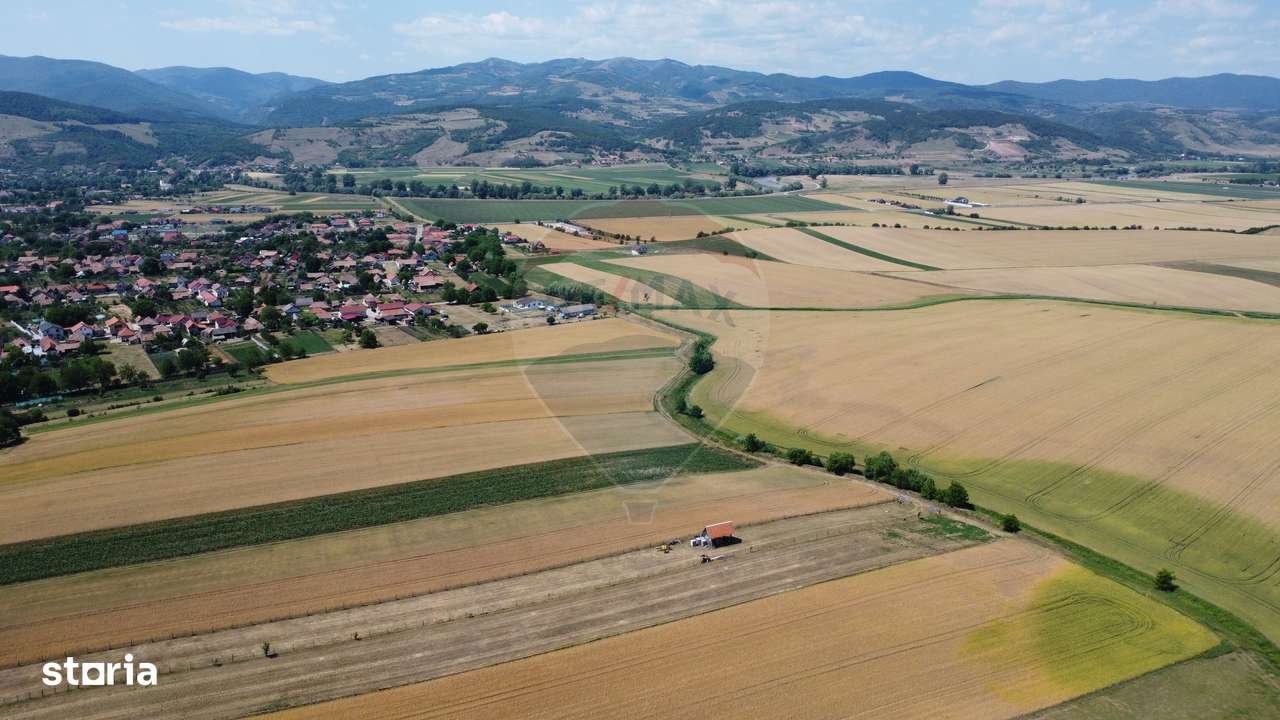 Teren industrial 5.000 mp Vintu de Jos – amplasament strategic-10