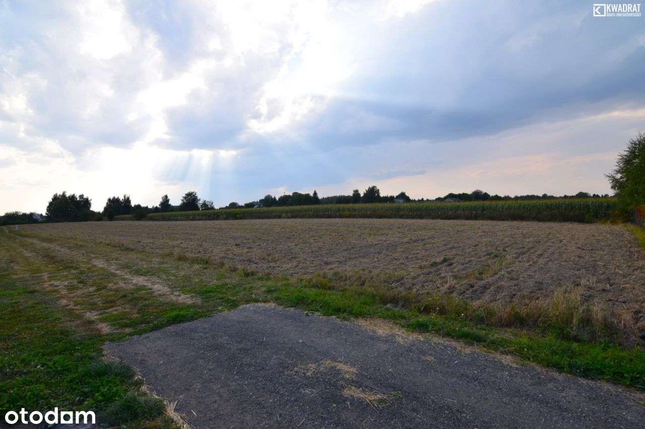 Motycz/ działka zagrodowa z wz/ 30 ar - Pełny obrazek: 5/6