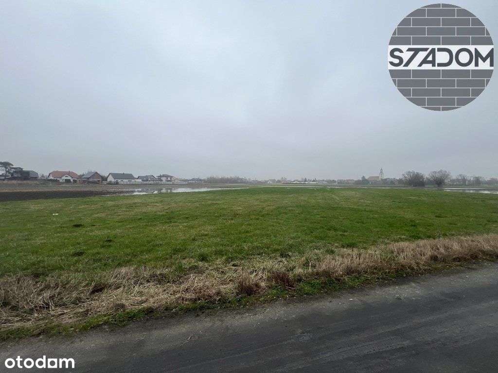 Działka budowlana 4030m2, Miejska Górka - Pełny obrazek: 4/6