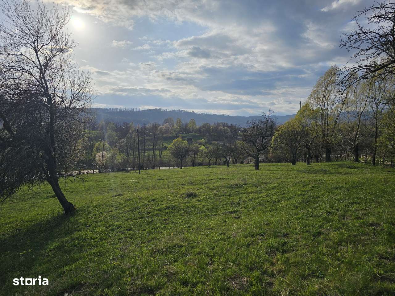 De vanzare Teren 5600 mp Albestii de Muscel - Pastravaria Bratioara-1