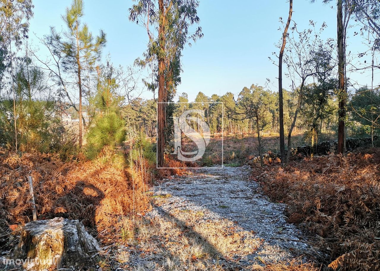 TERRENO em Forjães - Esposende (32.292 m2)