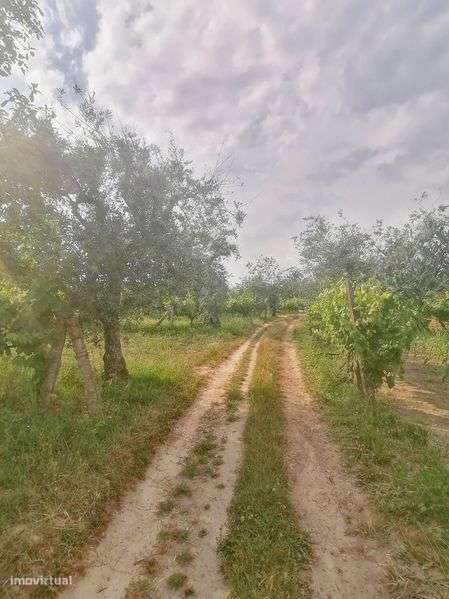 Oportunidade de investimento - Moradia inserida em lote de 14.585m2 - Grande imagem: 4/12