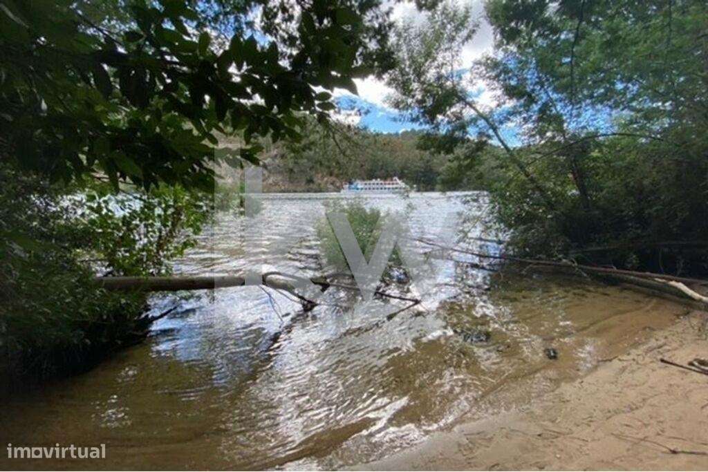 Terreno de 46.634 m2 no Rio Douro com frente de 300m2 - Praia Privativ - Grande imagem: 4/28