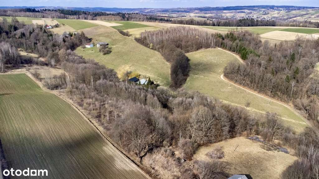 Działka z warunkami zabudowy 5474m2  | Brzeziny - Pełny obrazek: 4/7